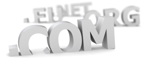 domain tld